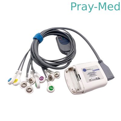 Borsam Holter Ecg Cable 10 Lead Grey 2m เข้ากันได้สำหรับ Bs6930 BS6930-3